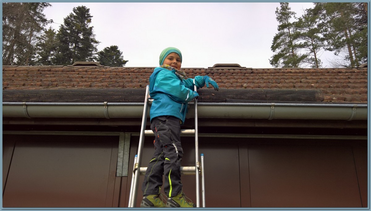 WP 20190413 12 18 46 Pro LI