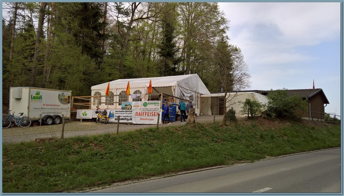 WP 20190422 17 22 09 Pro